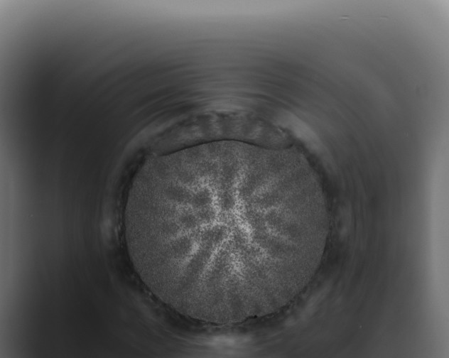 X0000089760920200706281641