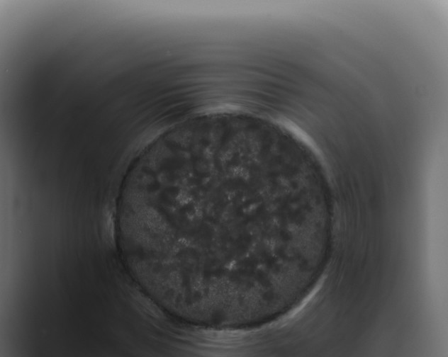 X0000089760921200706281641