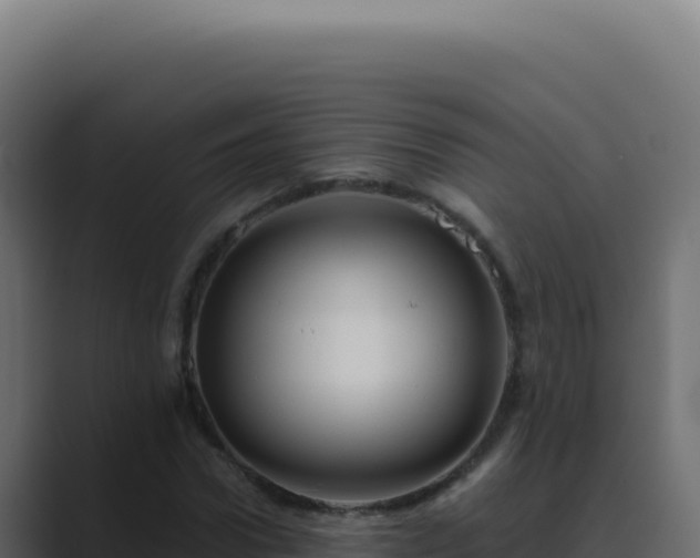 X0000089760922200706281641