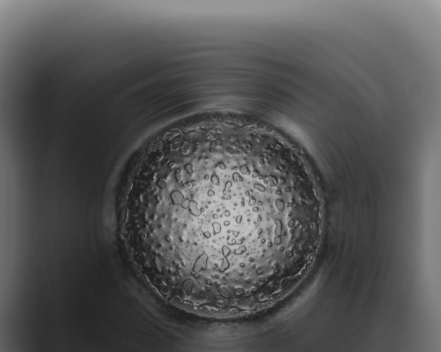 X0000089760923200706281641