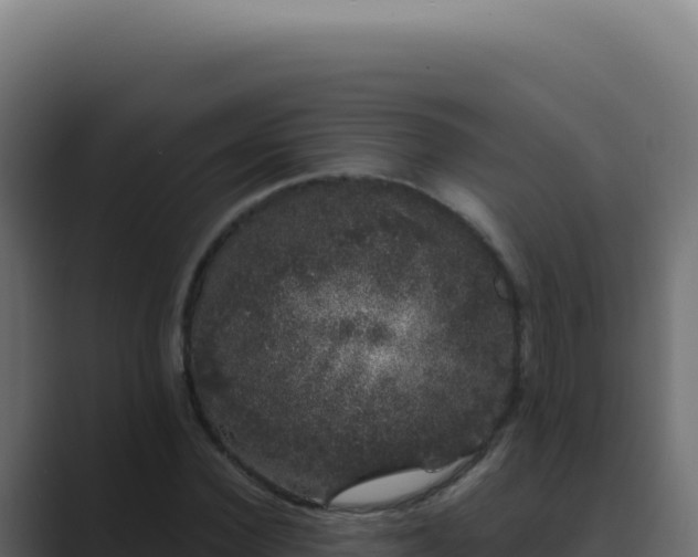 X0000089760924200706281641