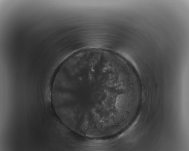 X0000089760925200706281641