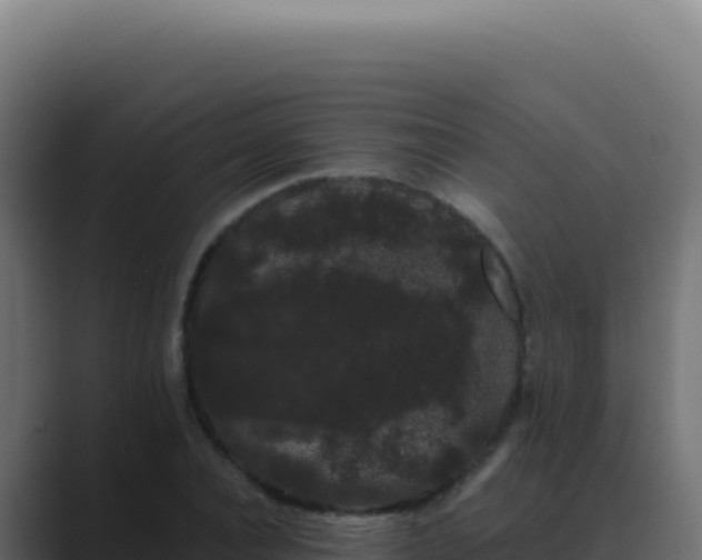 X0000089760928200706281641