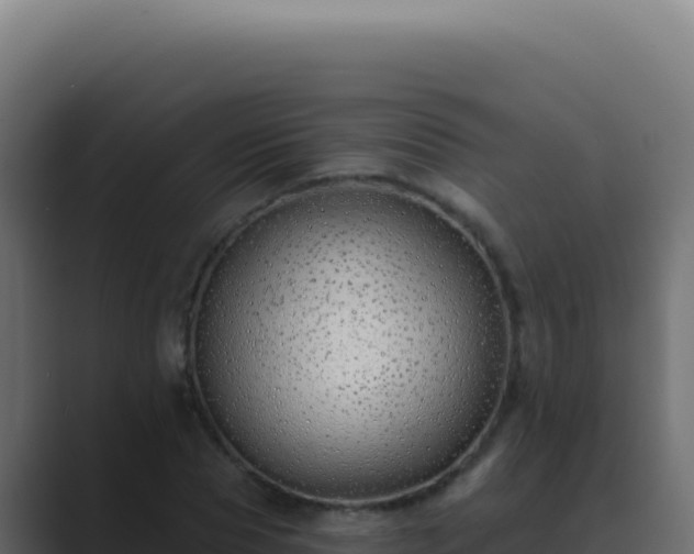 X0000089760929200706281641