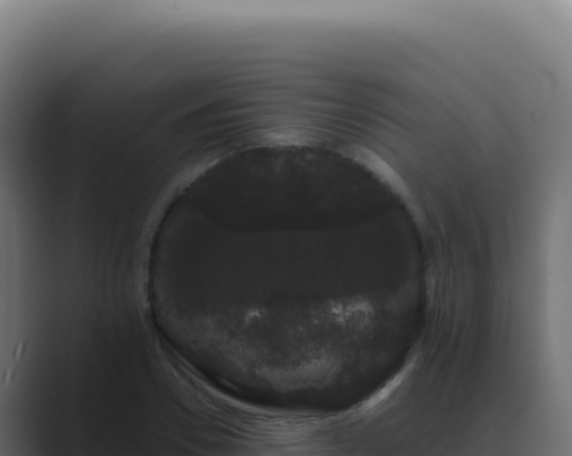 X0000089760930200706281641