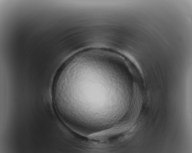 X0000089760935200706281641