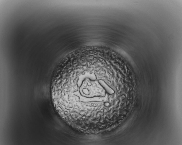 X0000089760937200706281641
