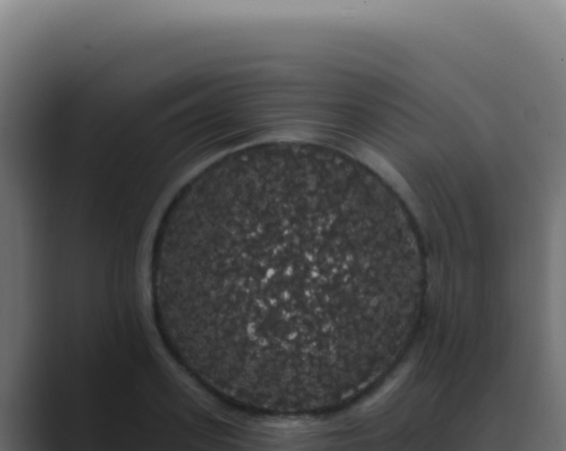 X0000089760939200706281641