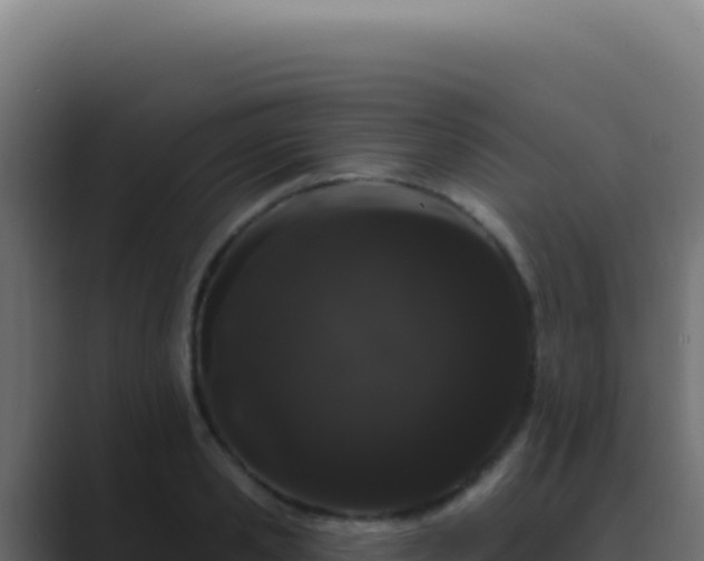 X0000089760941200706281641