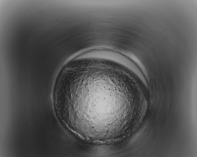 X0000089760943200706281641