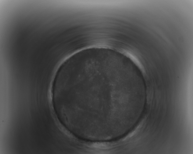 X0000089760944200706281641