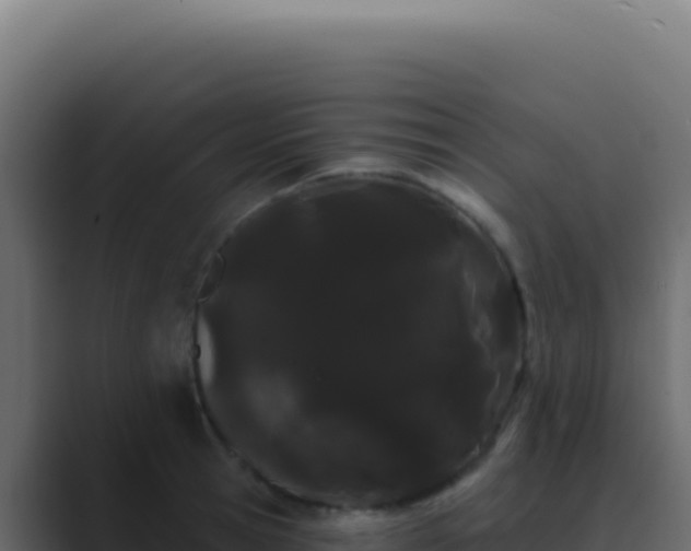 X0000089760945200706281641