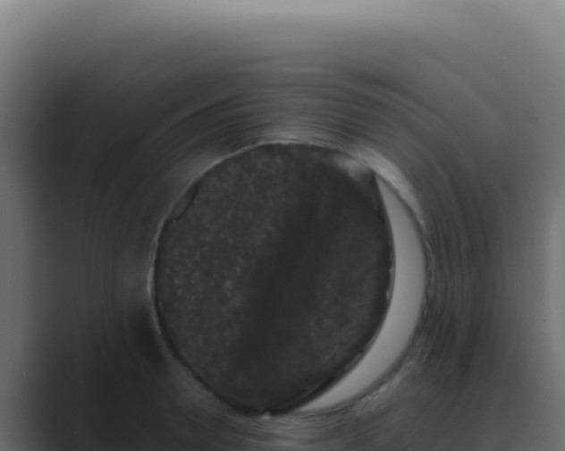 X0000089760946200706281641