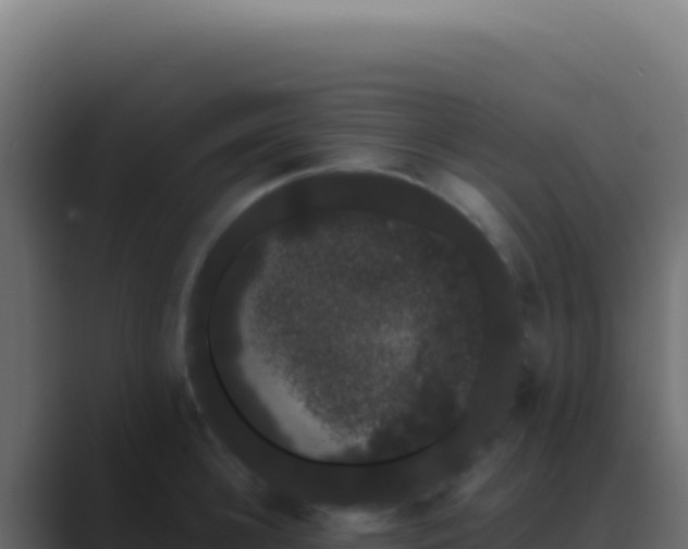 X0000089760948200706281641