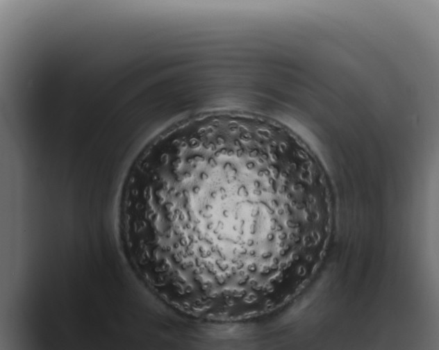 X0000089760949200706281641