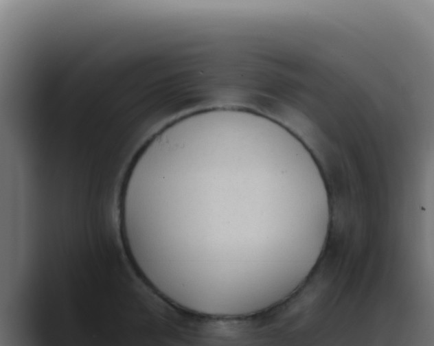 X0000089760950200706281641
