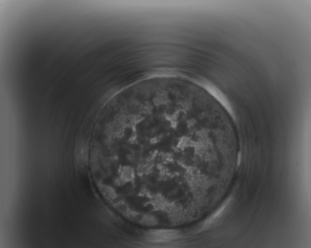 X0000089760953200706281641