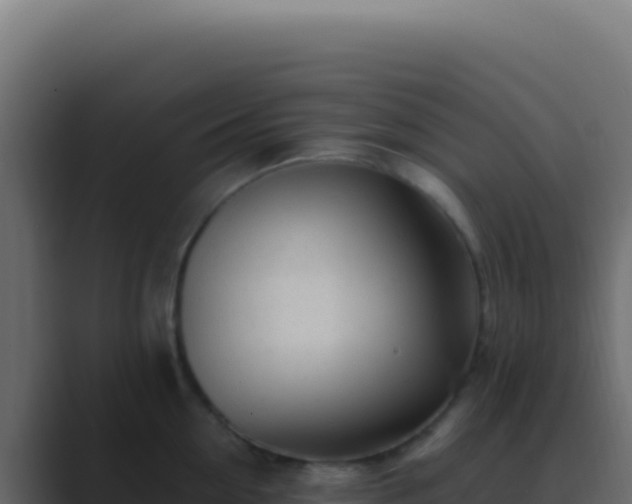 X0000089760954200706281641
