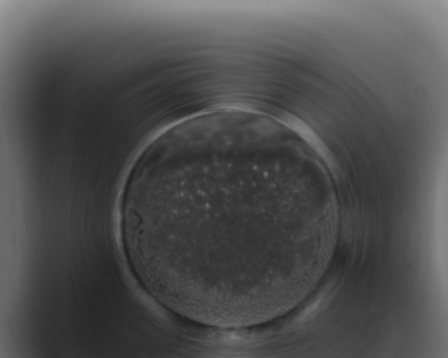 X0000089760955200706281641
