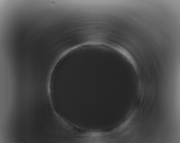 X0000089760958200706281641