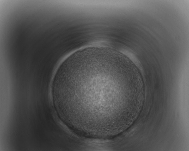 X0000089760960200706281641