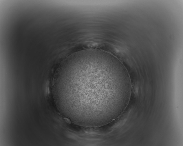 X0000089760962200706281641