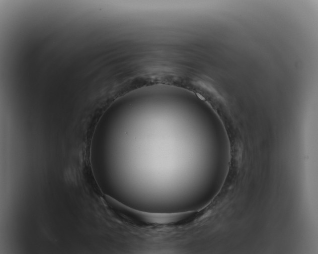 X0000089760965200706281640