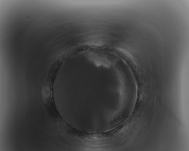X0000089760966200706281640
