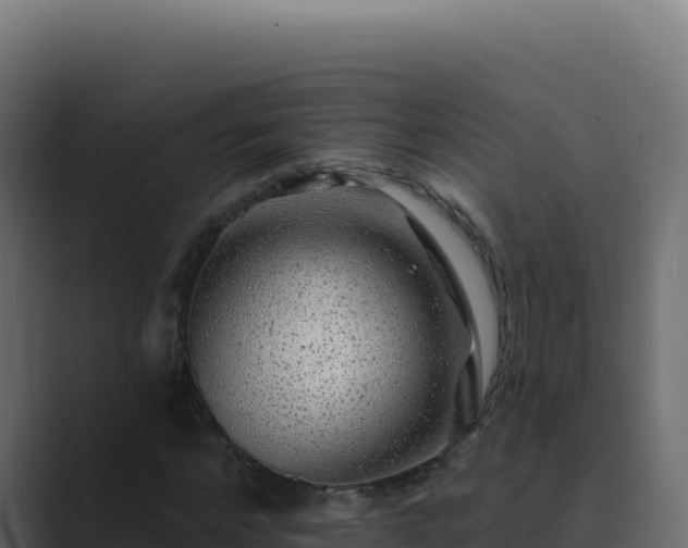 X0000089760968200706281640