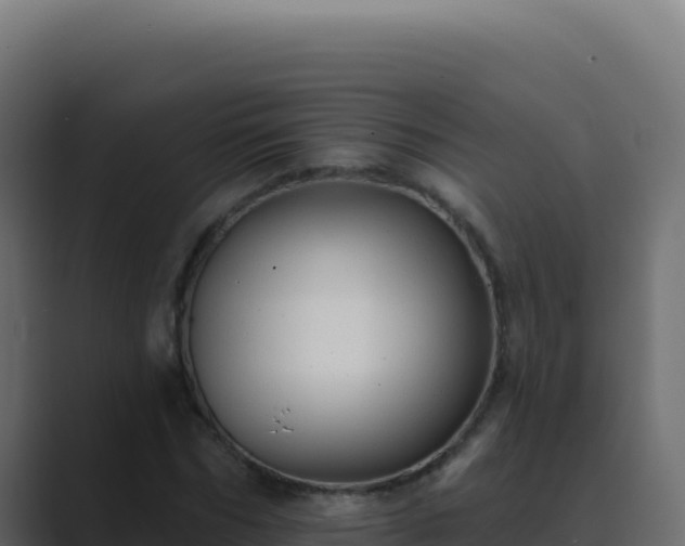 X0000089760970200706281640