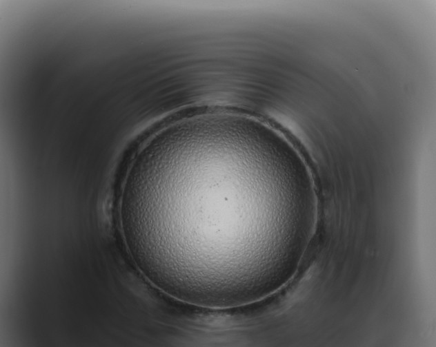 X0000089760971200706281640