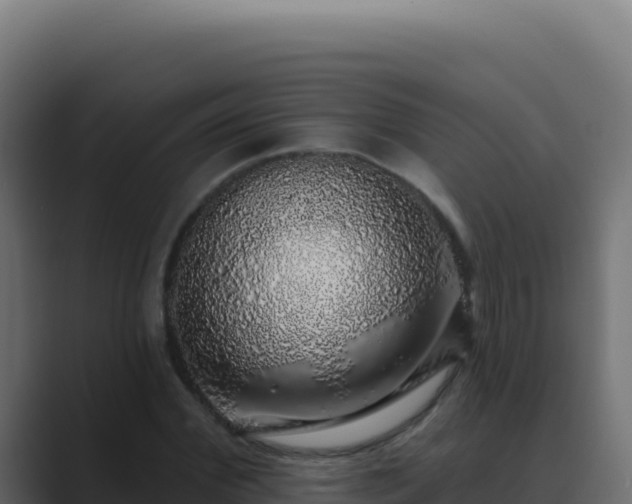 X0000089760972200706281640
