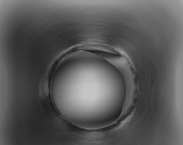 X0000089760973200706281640