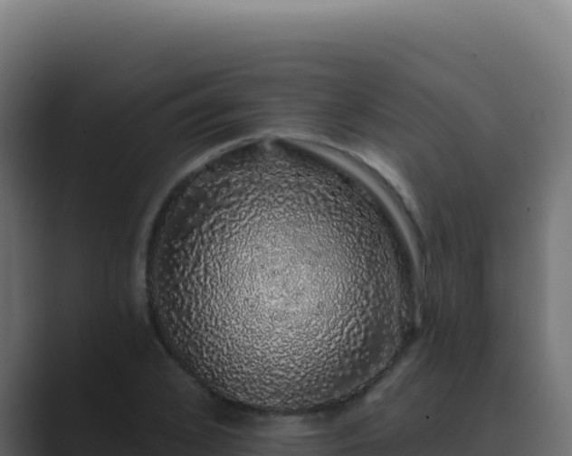 X0000089760976200706281640