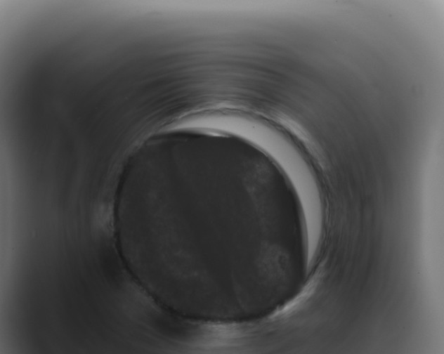 X0000089760977200706281640