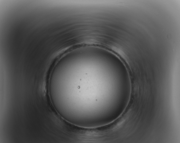 X0000089760979200706281640