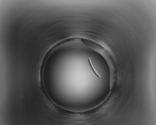 X0000089760980200706281640