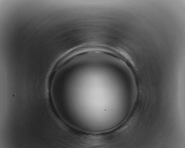 X0000089760981200706281640