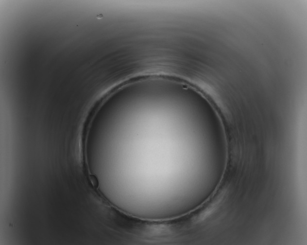 X0000089760982200706281640