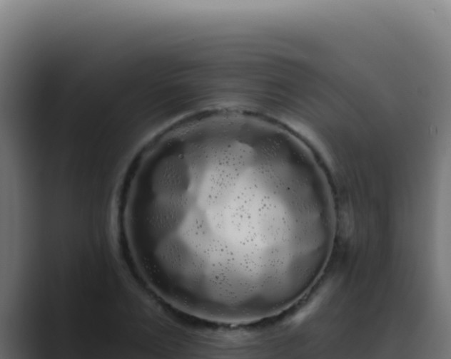 X0000089760983200706281640