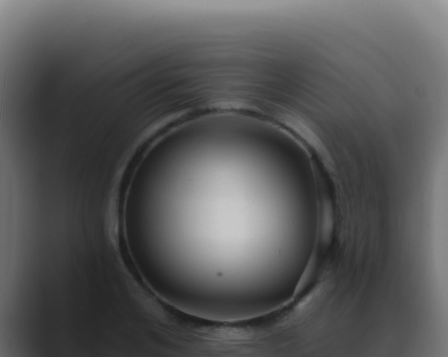 X0000089760984200706281640