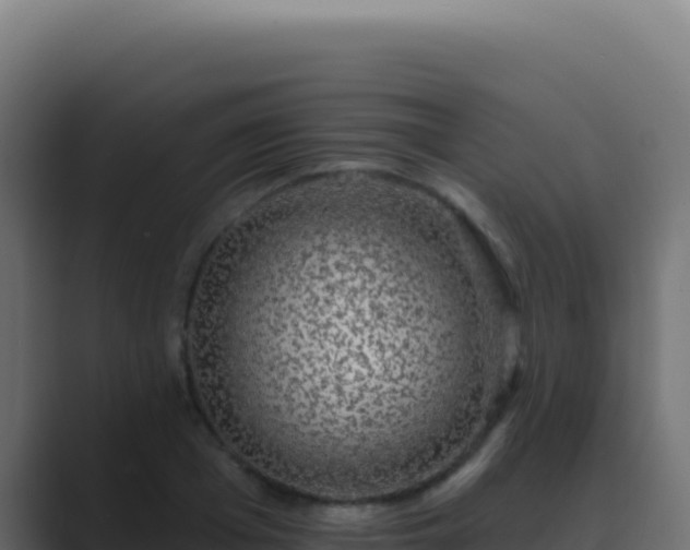 X0000089760985200706281640