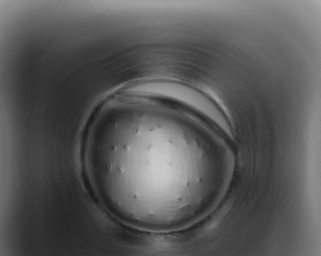 X0000089760987200706281640