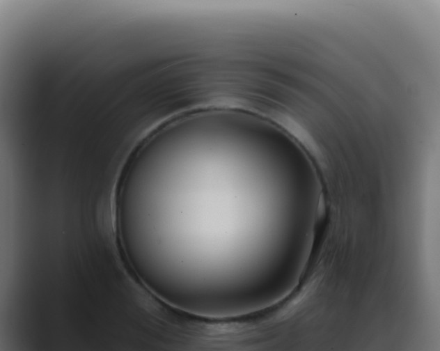 X0000089760988200706281640