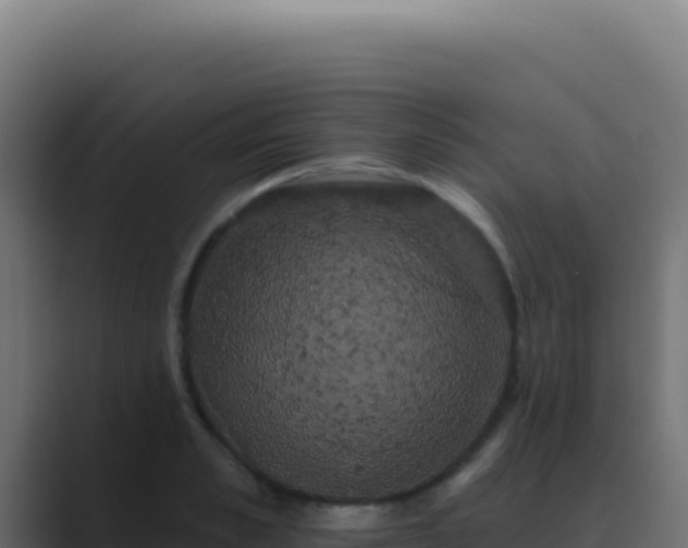 X0000089760989200706281640