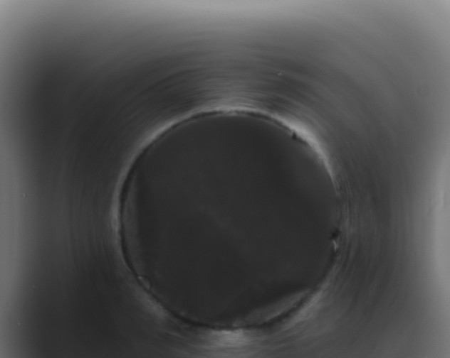 X0000089760990200706281640
