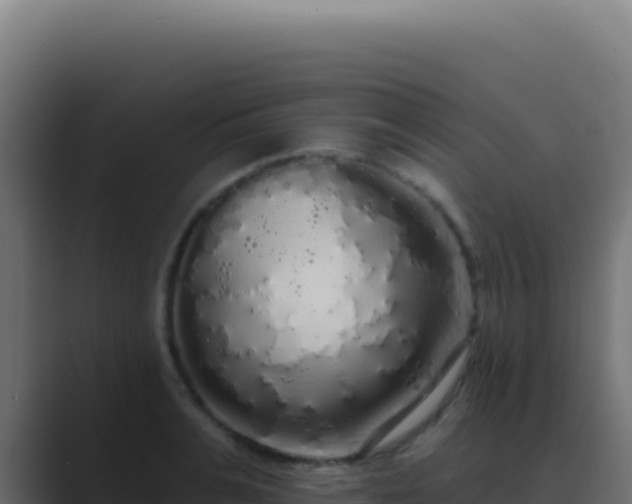 X0000089760991200706281640