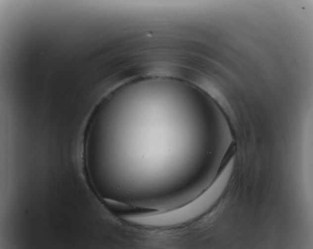 X0000089760992200706281640