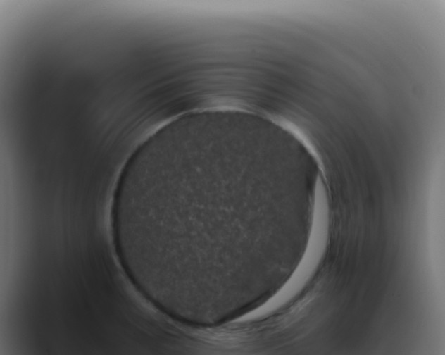 X0000089760995200706281640