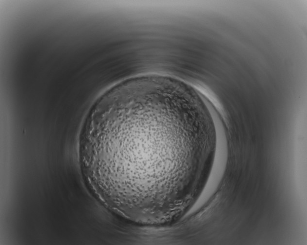 X0000089760996200706281640